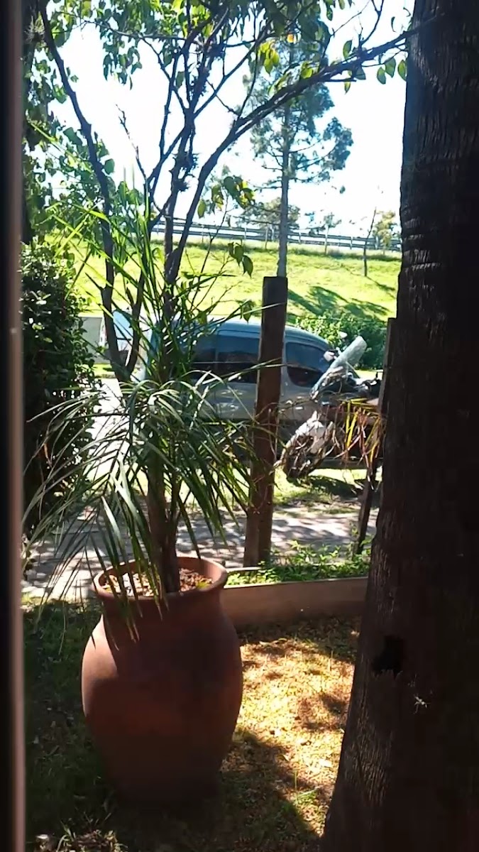 Menu Las Tranqueras Parrilla-3